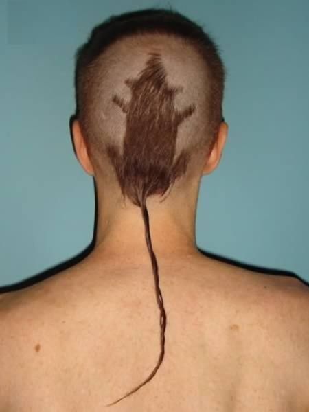 15 Bizarre Haircuts | HuffPost Weird News
