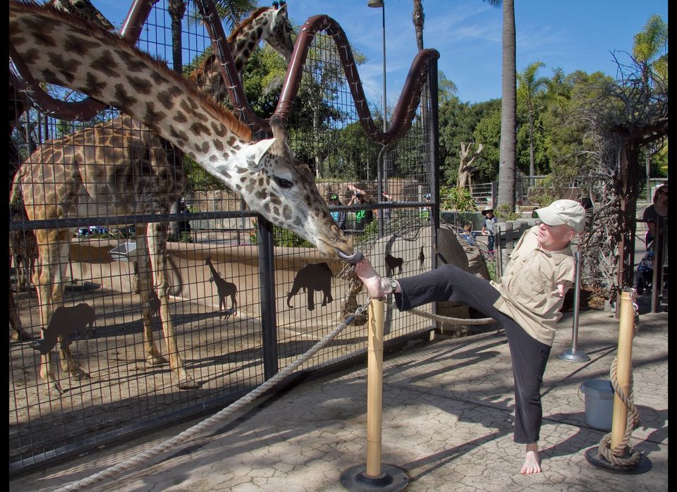 Armless Man Feeds Giraffe With His Toe