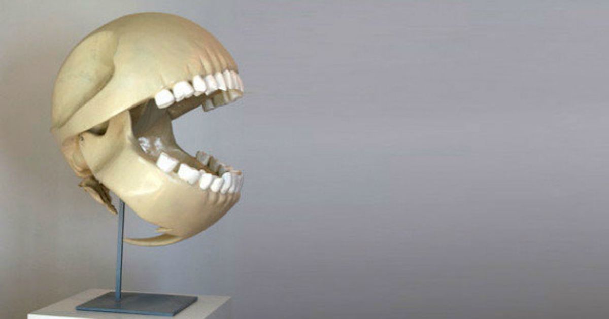 Real-life Pac-Man Skull Created By Artist And Paleontologist | HuffPost UK