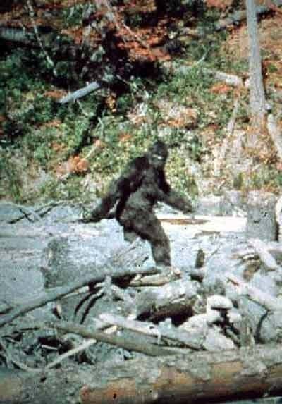 Is Bigfoot Real? - The Atlantic