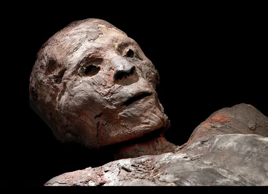 Researchers Use Cangrande Mummy To Solve 700 Year Old Murder