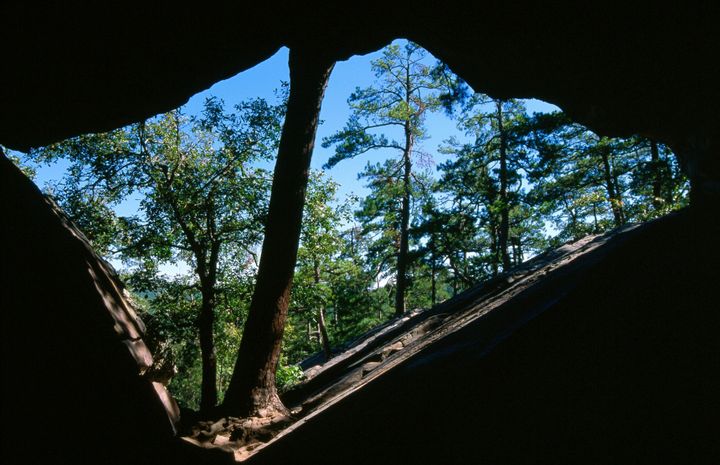 Robbers Cave State Park, Oklahoma, United States, North America