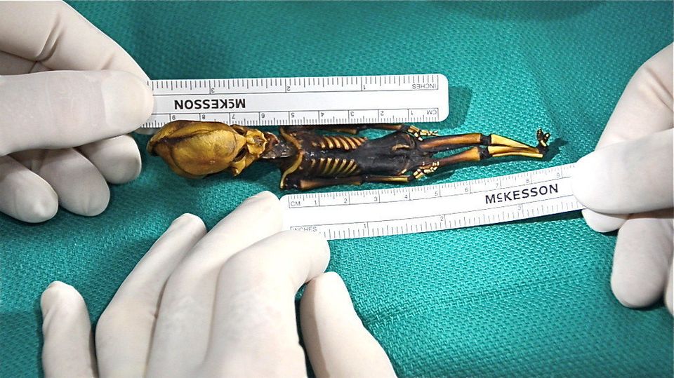 The Truth About The '6-Inch Alien' Unveiled