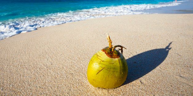 Coconut At Caribbean Beach