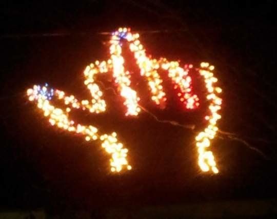 Sarah Childs Puts Up Middle Finger Christmas Lights For Second