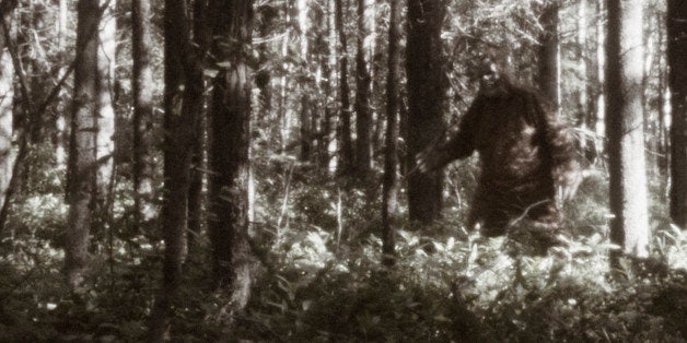 Carolina Bigfoot hunters claim sighting