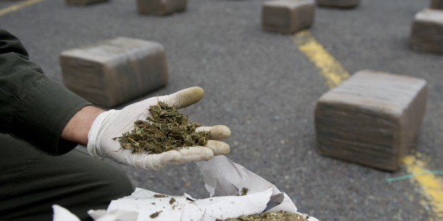 A Colombian police officer holds a sample of marijuana, on February 14, 2014, in Cali, department of Valle del Cauca, Colombia. Colombian police showed the 2.8 tons of marijuana seized on the road between Cali and the municipality of Andalucia. AFP PHOTO/Luis ROBAYO (Photo credit should read LUIS ROBAYO/AFP/Getty Images)