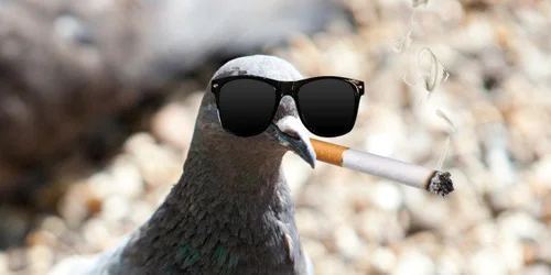 do i have to inhale cigarettes Do you inhale?