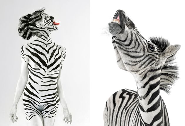 Real Life Female Furry Porn Zebra Paint - Nude Models Pose In Animal Print Body Paint (NSFW PHOTOS) | HuffPost