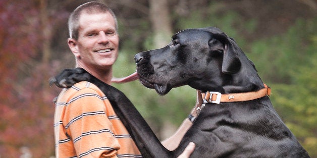 In an undated photo provided by Guinness World Records 2013 Book, Kevin Doorlag stands with his dog Zeus in Otsego, Mich. The Great Dane is now officially the worldâs tallest canine according to the record book. The 3-year-old measures 44 inches from foot to shoulder. Standing on his hind legs, Zeus measures 7-foot-4. (AP Photo/Guinness World Records 2013 Book, Kevin Scott Ramos, HO)