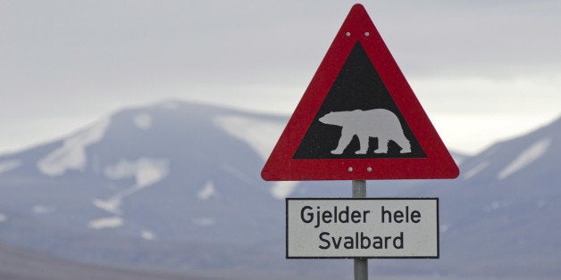 Polar bear warning sign, Longyearbyen, Spitsbergen Island, Svalbard Archipelago, Svalbard and Jan Mayen, Norway