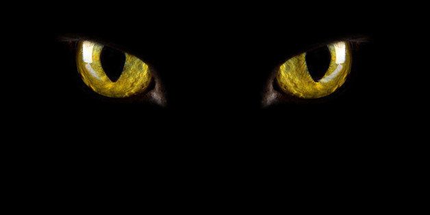 cats eyes glowing in the dark. halloween background