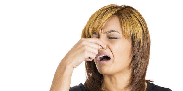 Today Stinks Why Your Love Life Really Stinks: Science | HuffPost Weird News