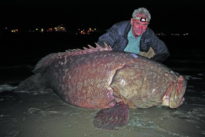 Animal Planet's Jeremy Wade Risks Life And Limb To Capture River