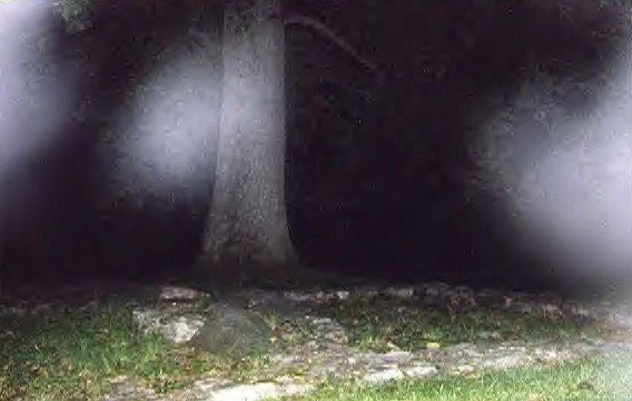 paranormal phone posits
