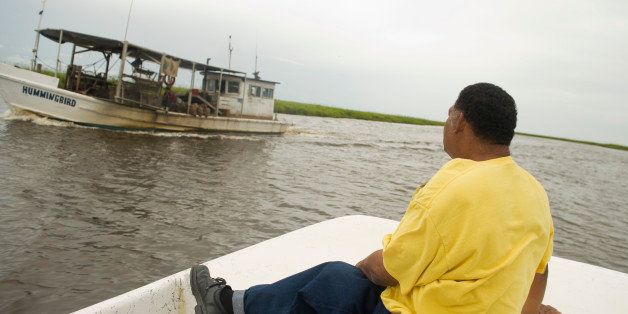 UNITED STATES - JULY 5, 2010: Byron Encalade, president of the Louisiana Oystermen Association, rides in his former harvesting grounds in Grand Bayou near Point a La Hache, LA. (Photo By Tom Williams/Roll Call via Getty Images)
