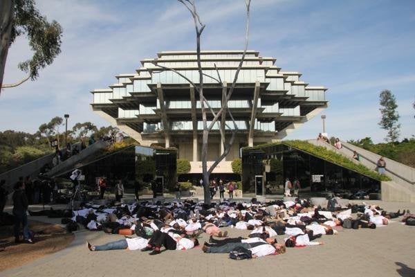 University of California, San Diego students