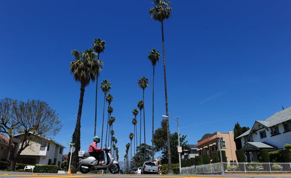 Proportion of low-price tracts that gentrified 2000-2007: 23%

Source: Federal Reserve Bank of Cleveland