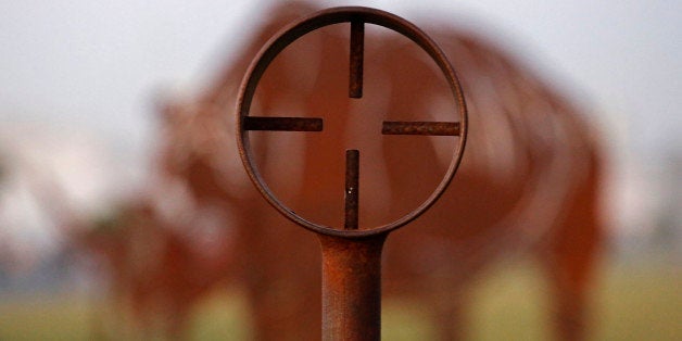 A artistic piece showing the crosshairs of a rifle scope, center, with a Rhino body forming the backdrop,forms part of a public art display at a popular tourist hotspot near the city of Cape Town, South Africa, Sunday, Aug. 24, 2014. A Rhino art display is on show to emphasize the number of Rhinos being killed in South Africa by rhino poachers for the use of its horn in eastern medicine. (AP Photo/Schalk van Zuydam)