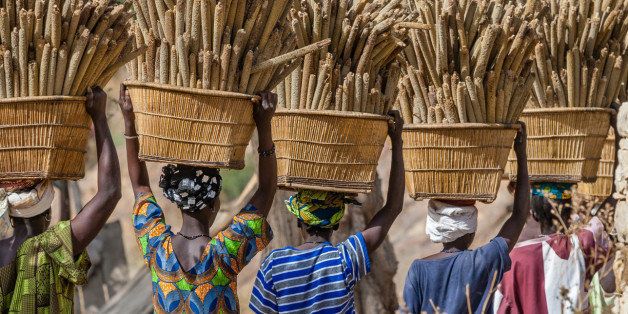 Women of the Dogon ethnic group carrying baskets of harvested millet back to their village - Mali