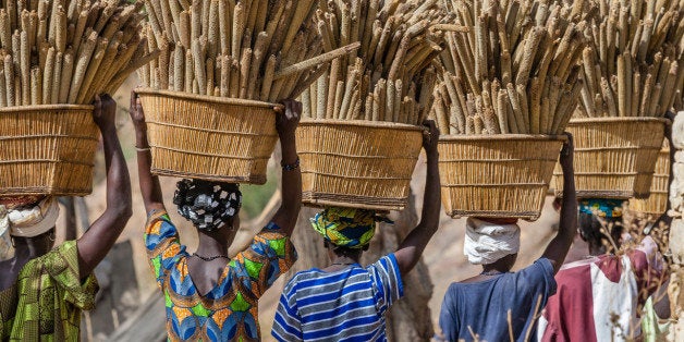 Women of the Dogon ethnic group carrying baskets of harvested millet back to their village - Mali