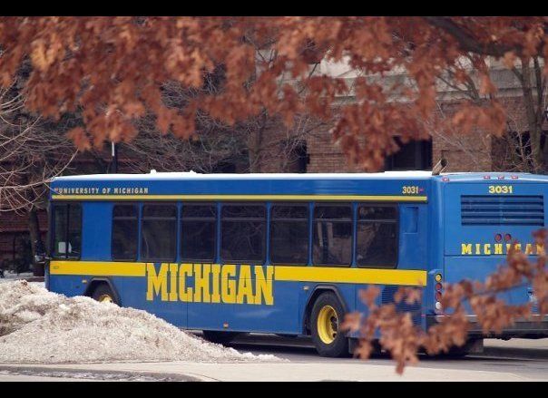 University of Michigan at Ann Arbor