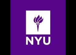 #15 New York University