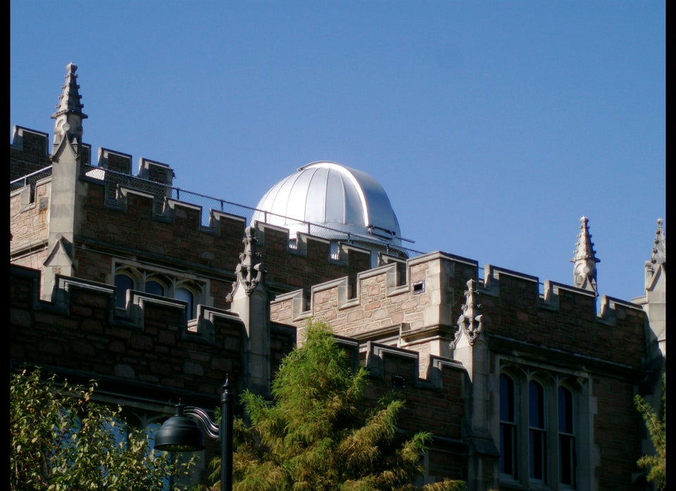 Washington University in St. Louis