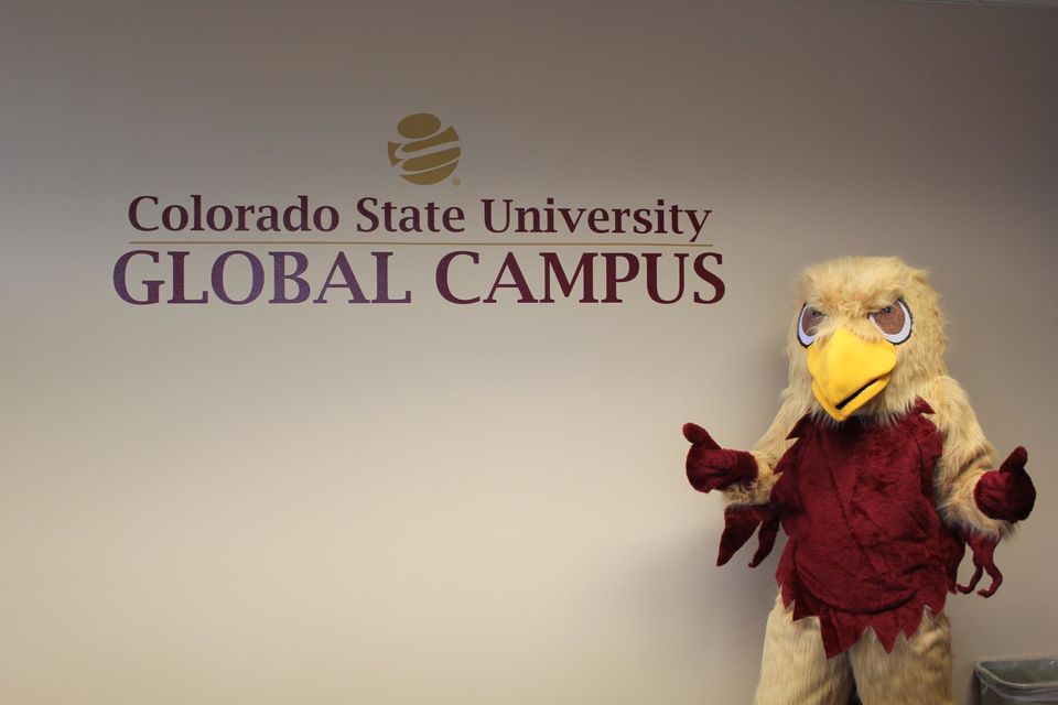 10. Colorado State University Global Campus