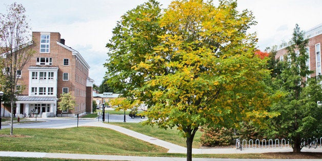 the tree closed to Gilman Center