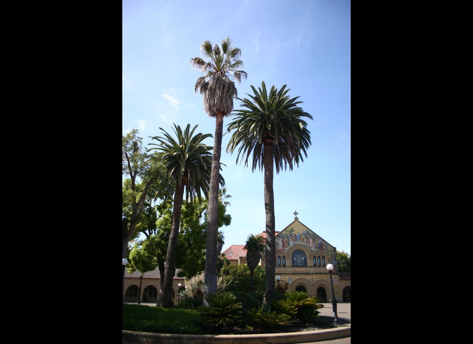 Stanford University