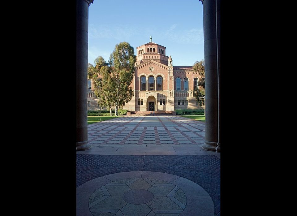 University of California at Los Angeles: 30.7%