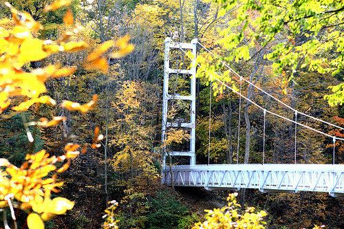 Cornell University to put safety nets on gorge bridges where 3