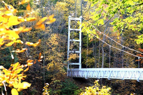 Man rescued from bridge netting over gorge near Cornell