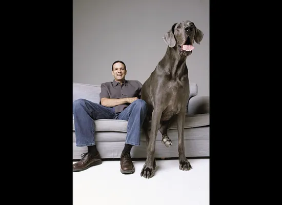 giant george puppy