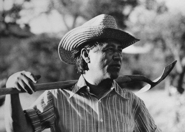 Cesar Chavez (1927 - 1993), founder of United Farm Workers (UFW), holds a shovel across his shoulders while working in the community garden at La Paz, California, 1975. (Photo by Cathy Murphy/Getty Images)