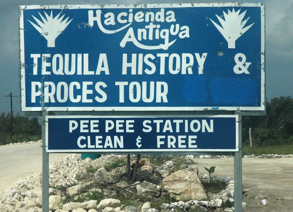 Tequila often does lead to pee pee