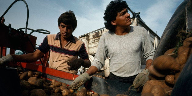 UNITED STATES - JUNE 19: Men work on a potato grader that carries potatoes from dirt to truck. Idaho. (Photo by Lynn Johnson/National Geographic/Getty Images)