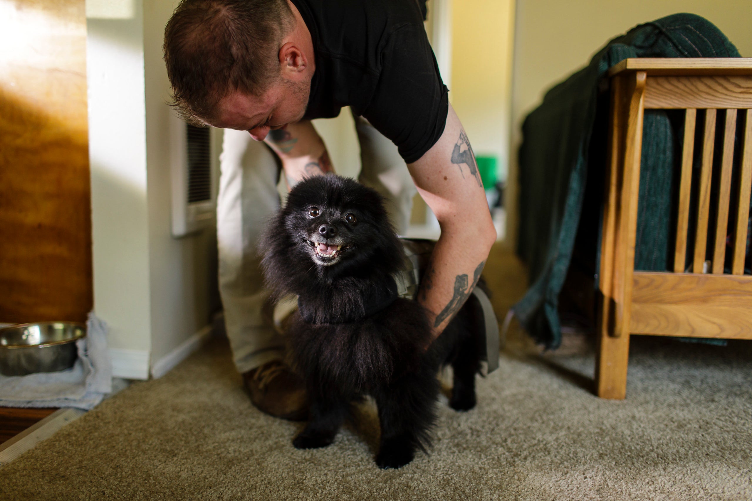 Hooper puts a vest on Bear, his 5-year-old Schipperke mix and licensed emotional support animal. Of owning a gun, he says,&nb