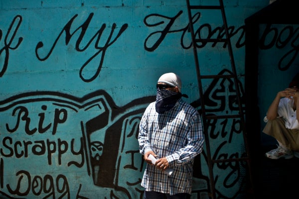 After serving their sentences, many gang members were deported back to Central America, where they quickly became a dominant 