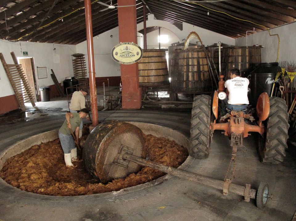 Why Tequila Deserves Way More Respect | HuffPost Voices