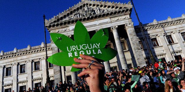 People take part in a demo for the legalization of marijuana in front of the Legislative Palace in Montevideo, on December 10, 2013, as the Senate discusses a law on the legalization of marijuana's cultivation and consumption. Uruguays parliament is to vote Tuesday a project that would make the country the first to legalize marijuana, an experiment that seeks to confront drug trafficking. The initiative launched by 78-year-old Uruguayan President Jose Mujica, a former revolutionary leader, would enable the production, distribution and sale of cannabis, self-cultivation and consumer clubs, all under state control. AFP PHOTO/ Pablo PORCIUNCULA (Photo credit should read PABLO PORCIUNCULA/AFP/Getty Images)