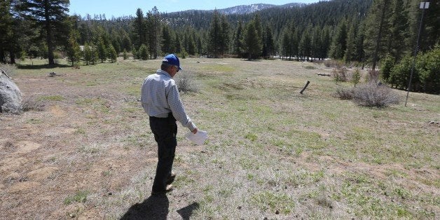 Frank Gehrke, chief of the California Cooperative Snow Surveys for the Department of Water Resources, walk out to the meadow checks to conduct the final snow survey of the season at Phillips near Echo Summit, Calif., Thursday, May 1, 2014. No snow was found at the Phillips station and the DWR reported that manual and electronic readings of the statewide snowpacks's water content showed it to be only 18 percent of average for this time of the year. (AP Photo/Rich Pedroncelli)