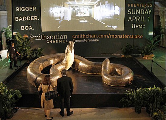 LOOK: Titanoboa, World's Biggest Snake, Coming To Smithsonian | HuffPost