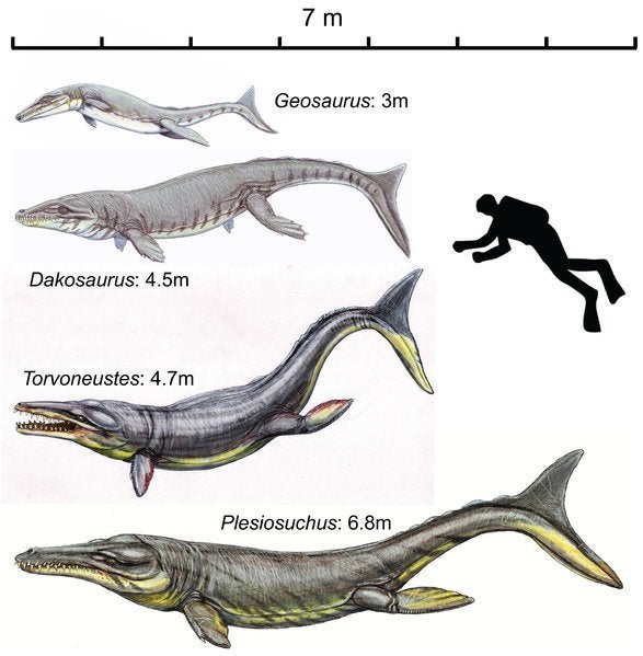 giant whale prehistoric