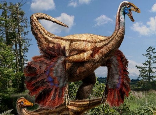 Giant Ostrich-Like Dinosaurs Once Roamed North America, Science