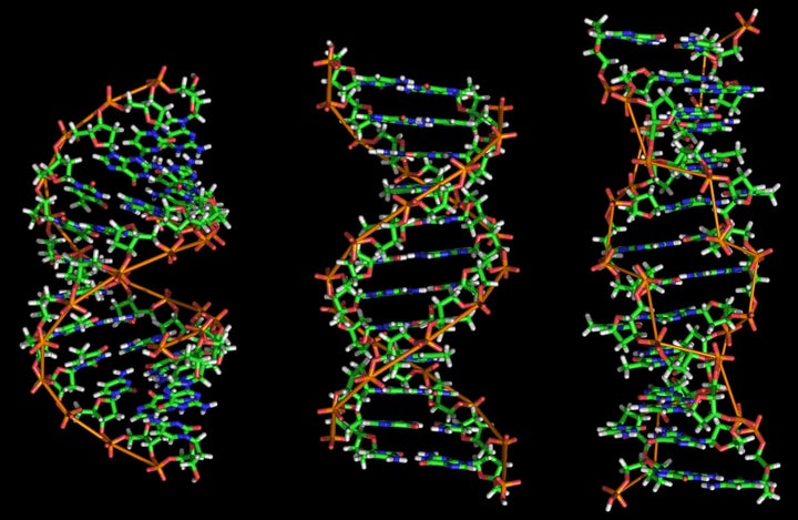 org/wiki/File:A-DNA,_B-DNA_and_Z-DNA. png here. | Date 2007-02-09 | Author Original uploader was Richard Wheeler (en:user:Ze