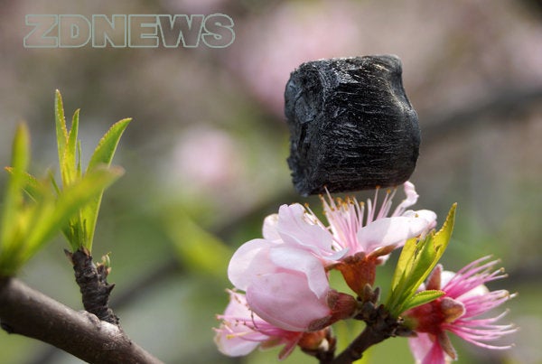 Carbon Aerogel