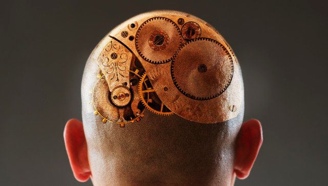 Back view of man with gears in shaved head