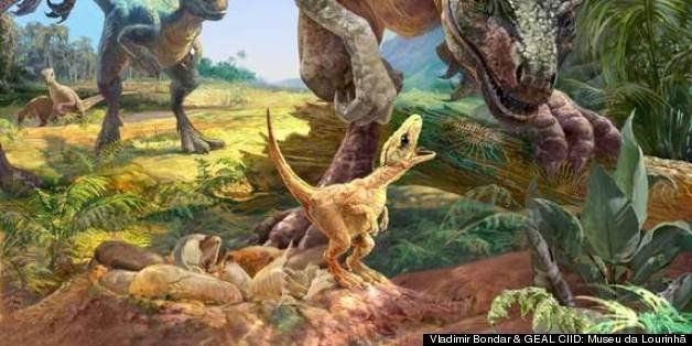 Exceptionally preserved eggs and embryos reveal the life history of a  pterosaur